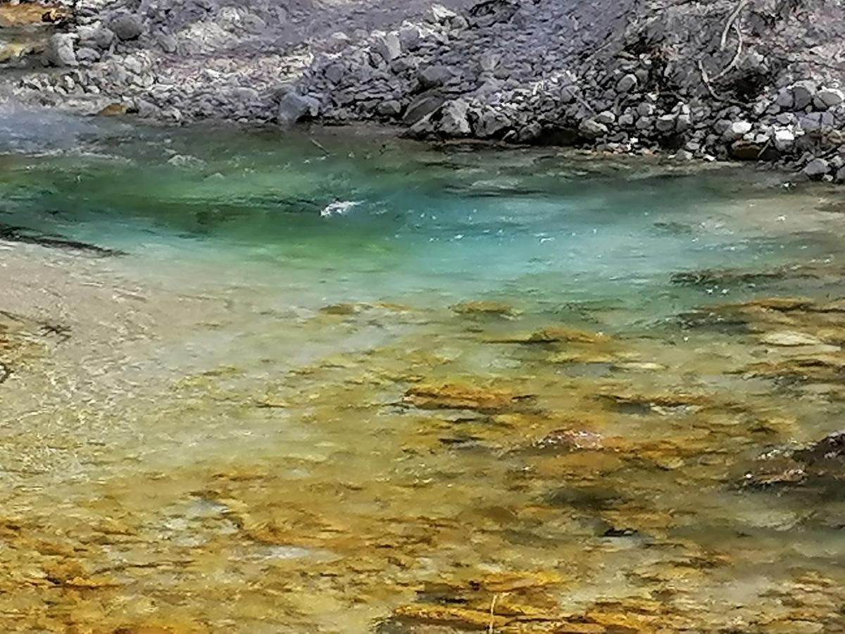 Zbogar Daire Rateče Dış mekan fotoğraf
