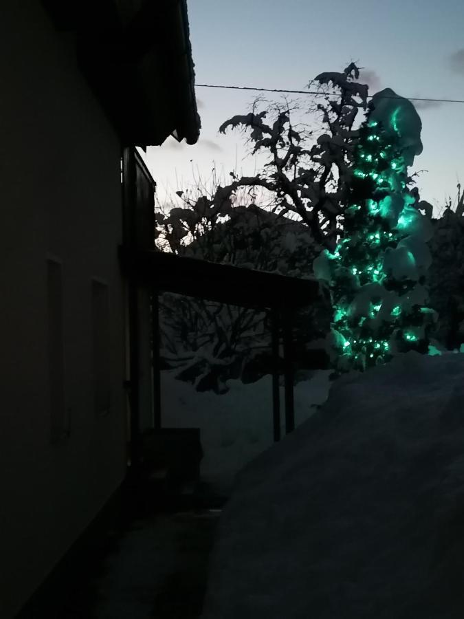 Zbogar Daire Rateče Dış mekan fotoğraf